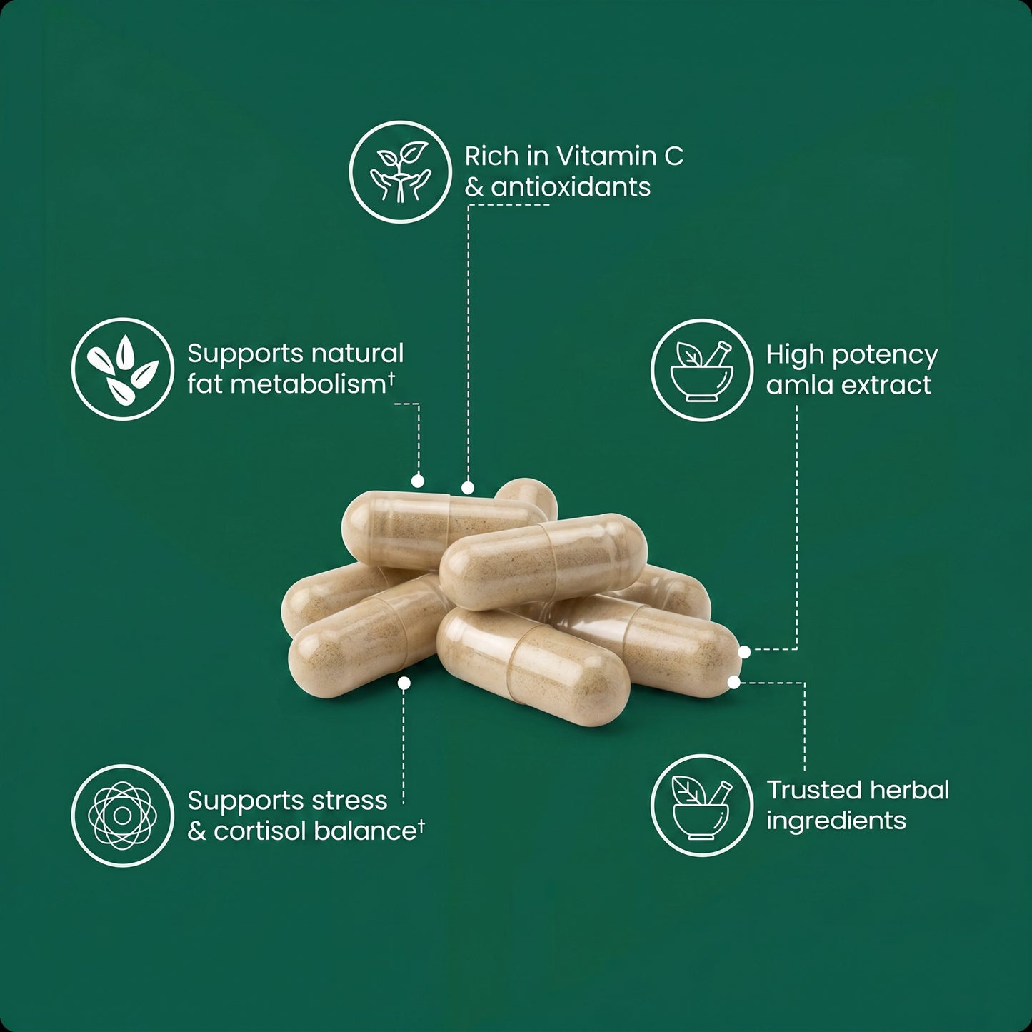 Clarova™ Amla Superfruit Extract