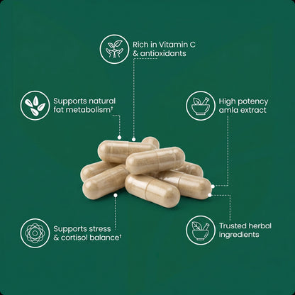 Clarova™ Amla Superfruit Extract